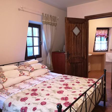 Wiatrak Nowe Guty Bed and Breakfast Eksteriør billede
