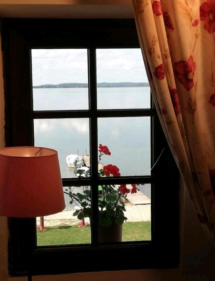 Wiatrak Nowe Guty Bed and Breakfast Eksteriør billede