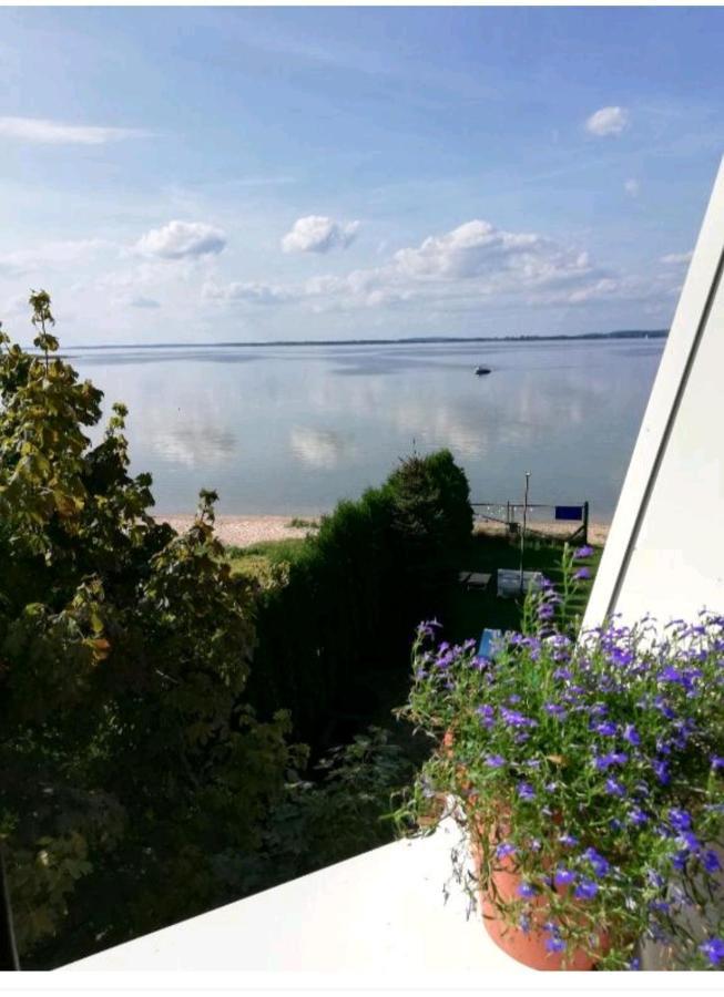 Wiatrak Nowe Guty Bed and Breakfast Eksteriør billede